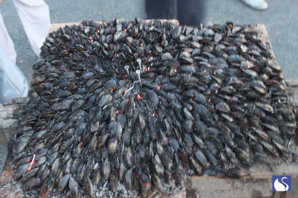 Photo d&apos;une éclade de moule