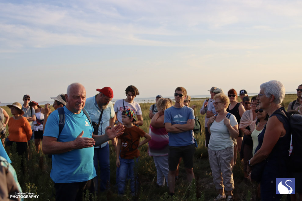 Visite guidée de la baie de l&apos;aiguillon