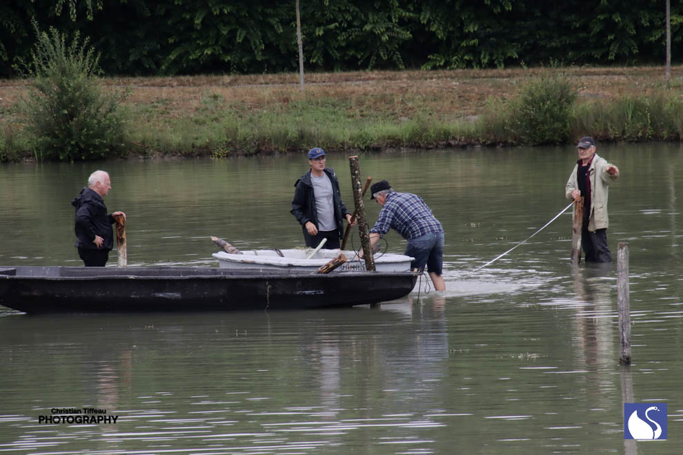 Montage des pilones dans l&apos;eau